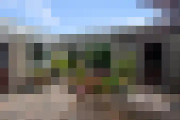 Vogelkers 32 Heemskerk thumbnail 29