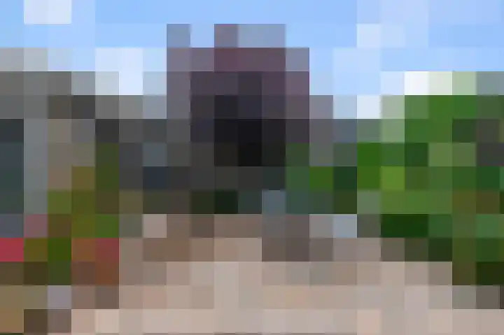 Vogelkers 32 Heemskerk thumbnail 30