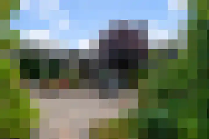 Vogelkers 32 Heemskerk thumbnail 31