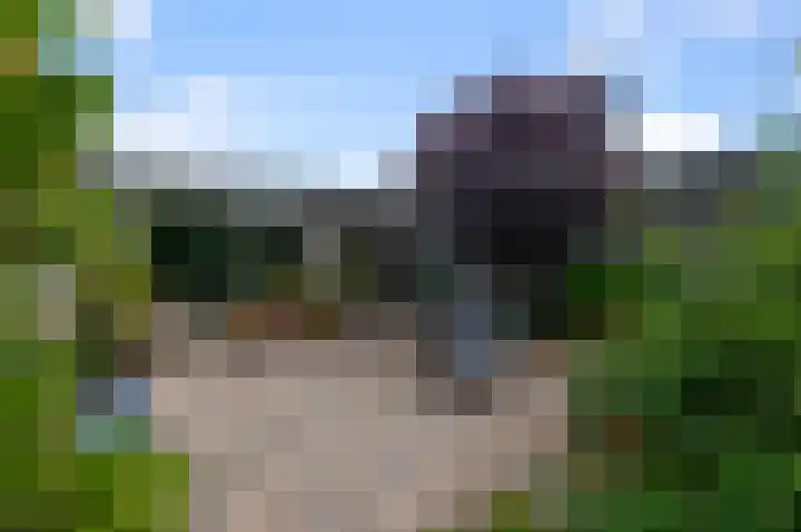 Vogelkers 32 Heemskerk thumbnail 32