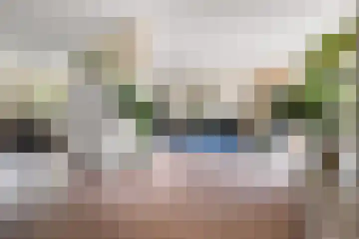 Vogelkers 32 Heemskerk thumbnail 4