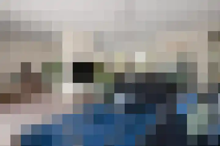 Vogelkers 32 Heemskerk thumbnail 7