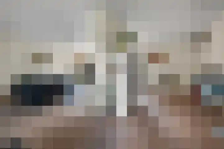 Vogelkers 32 Heemskerk thumbnail 8