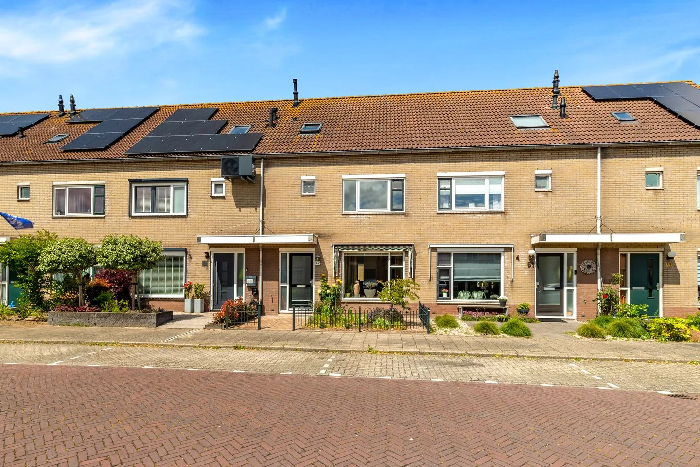Vogelkers 49 Heemskerk thumbnail 38