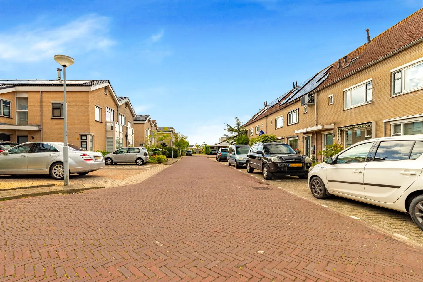Vogelkers 49 Heemskerk thumbnail 40