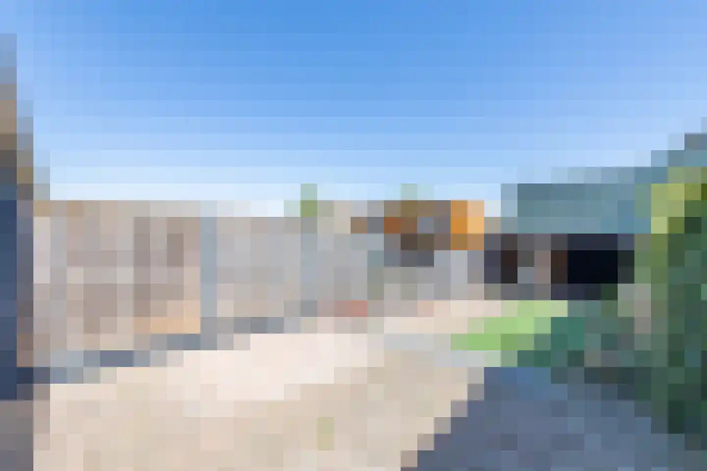 Vogelkers 5 Heiloo thumbnail 35