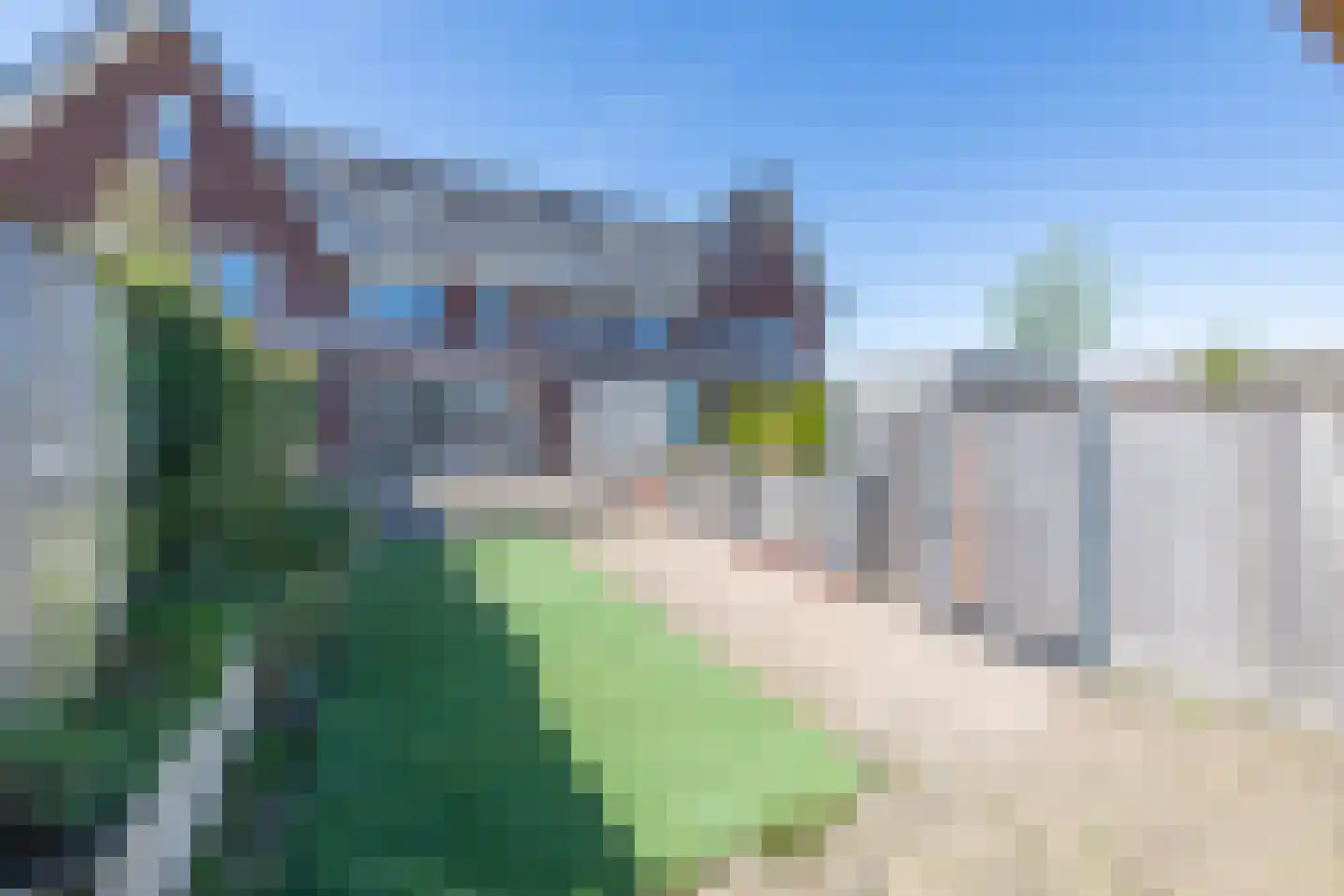 Vogelkers 5 Heiloo thumbnail 39