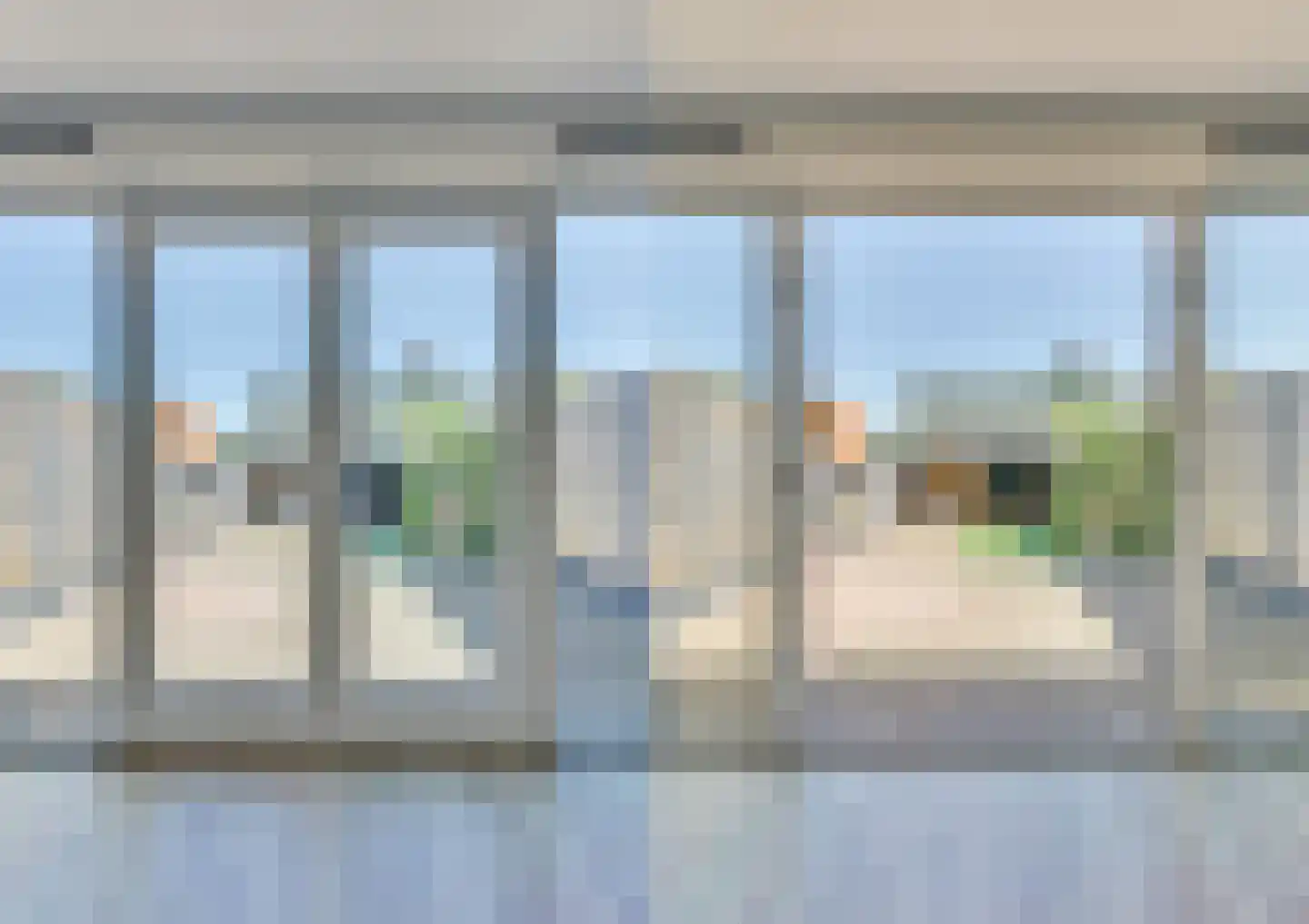 Vogelkers 5 Heiloo thumbnail 4