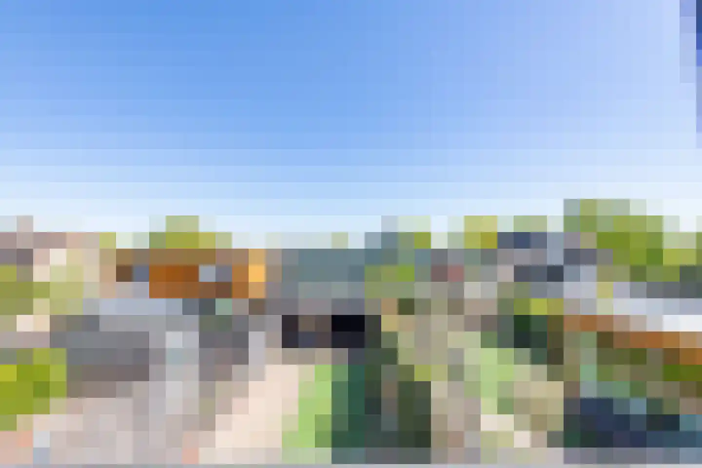 Vogelkers 5 Heiloo thumbnail 42