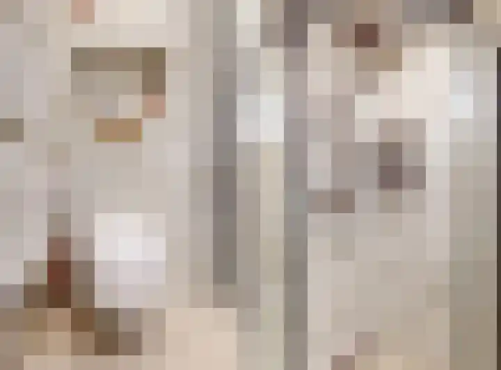 Vogelkers 8 Heemskerk thumbnail 17