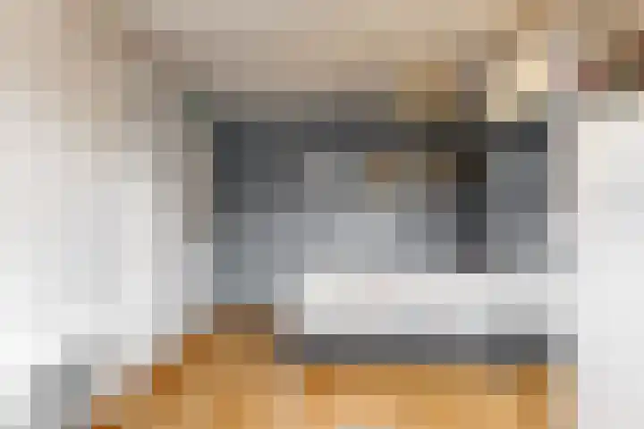 Vogelkers 8 Heemskerk thumbnail 22