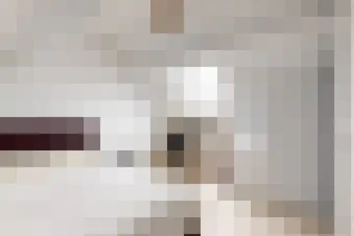 Vogelkers 8 Heemskerk thumbnail 25