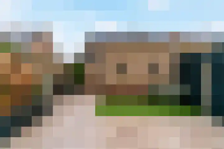 Vogelkers 8 Heemskerk thumbnail 27
