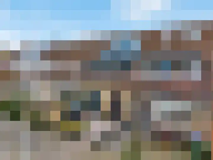 Vogelkers 8 Heemskerk foto 3