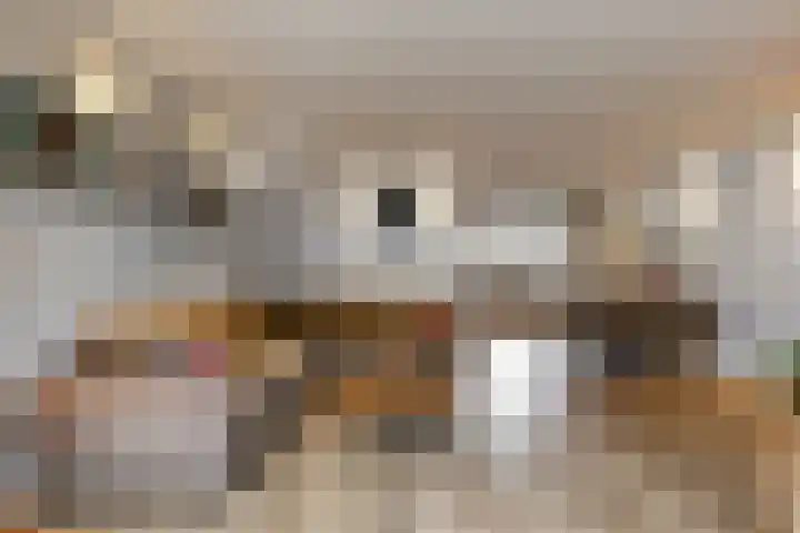 Vogelkers 8 Heemskerk thumbnail 6