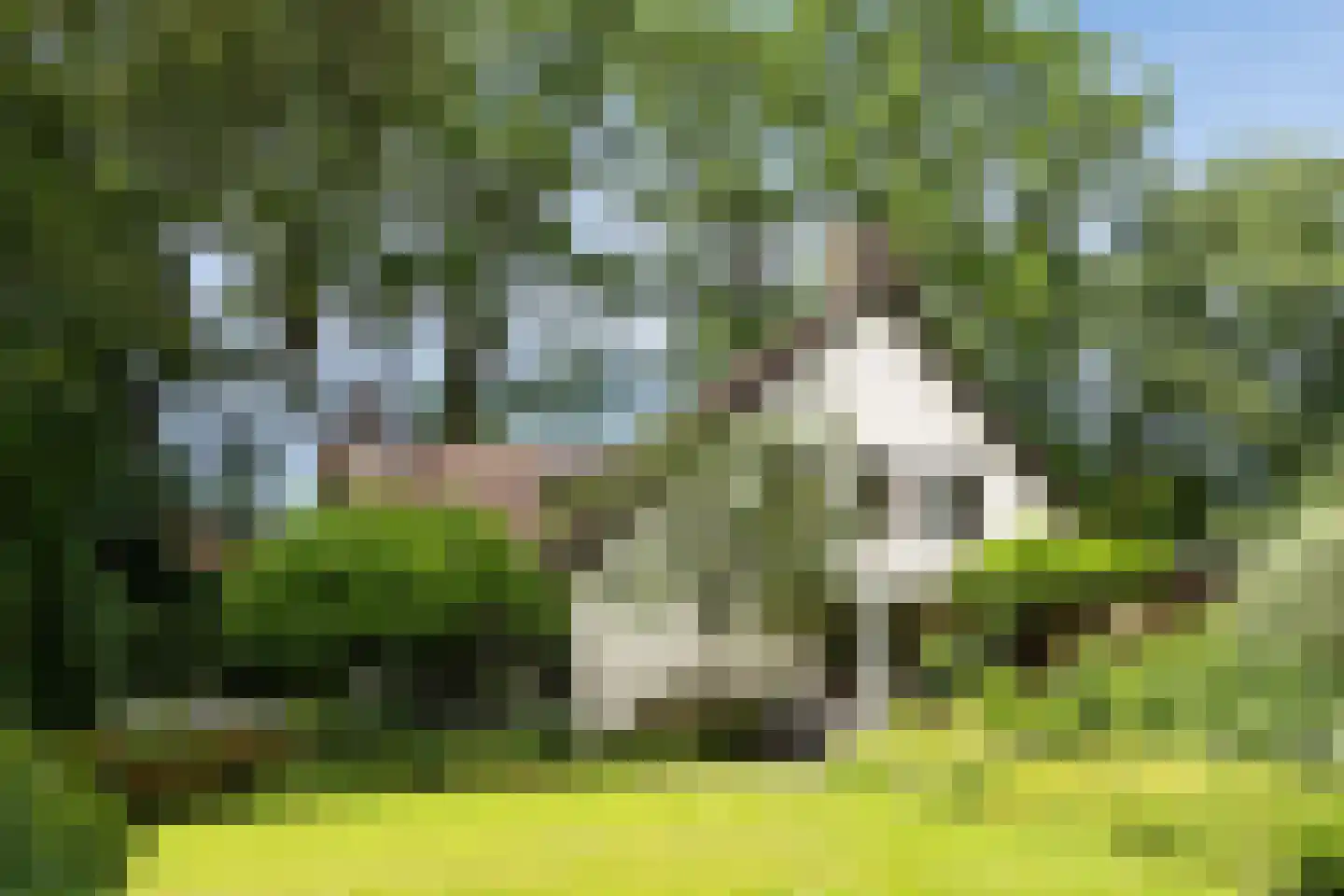 Vogelkerslaan 1 in Vught