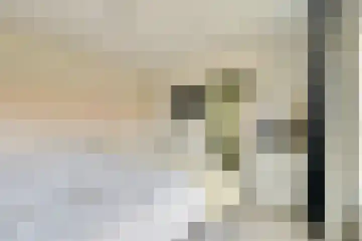 Vogelkerslaan 1 Amstelveen thumbnail 22