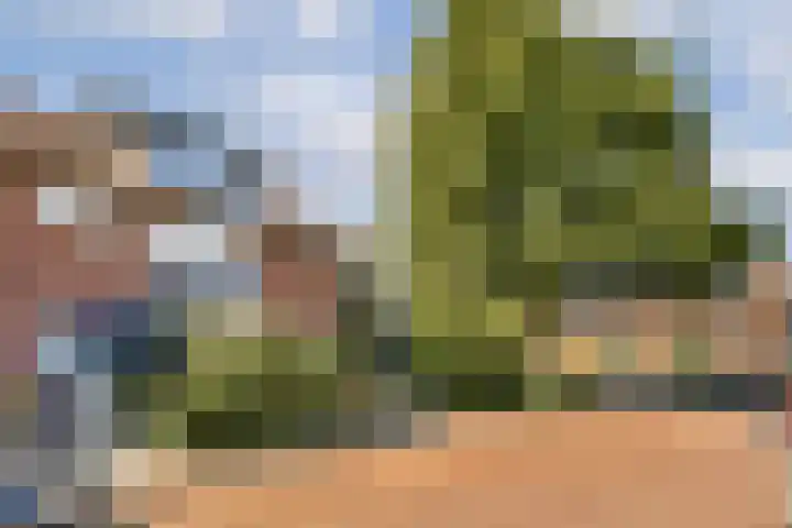 Vogelkerslaan 1 Amstelveen thumbnail 39