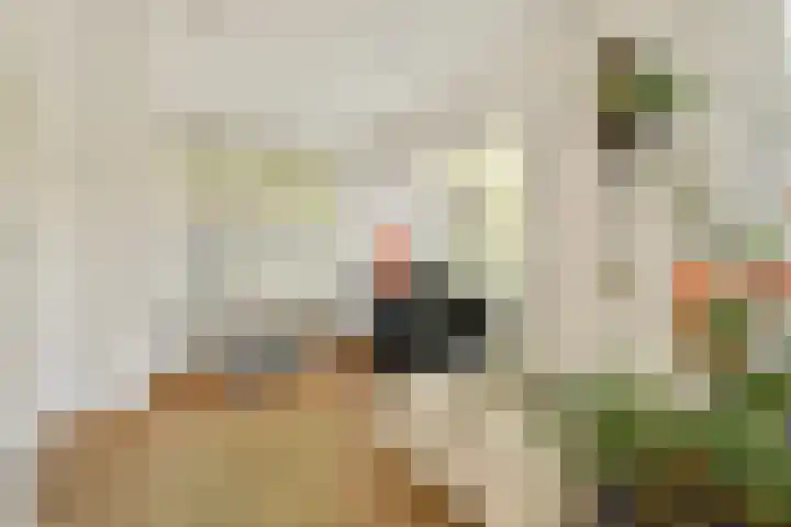 Vogelkerslaan 1 Amstelveen thumbnail 7