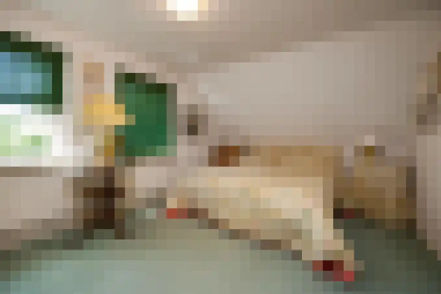 Vogelkerslaan 1 Vught thumbnail 24