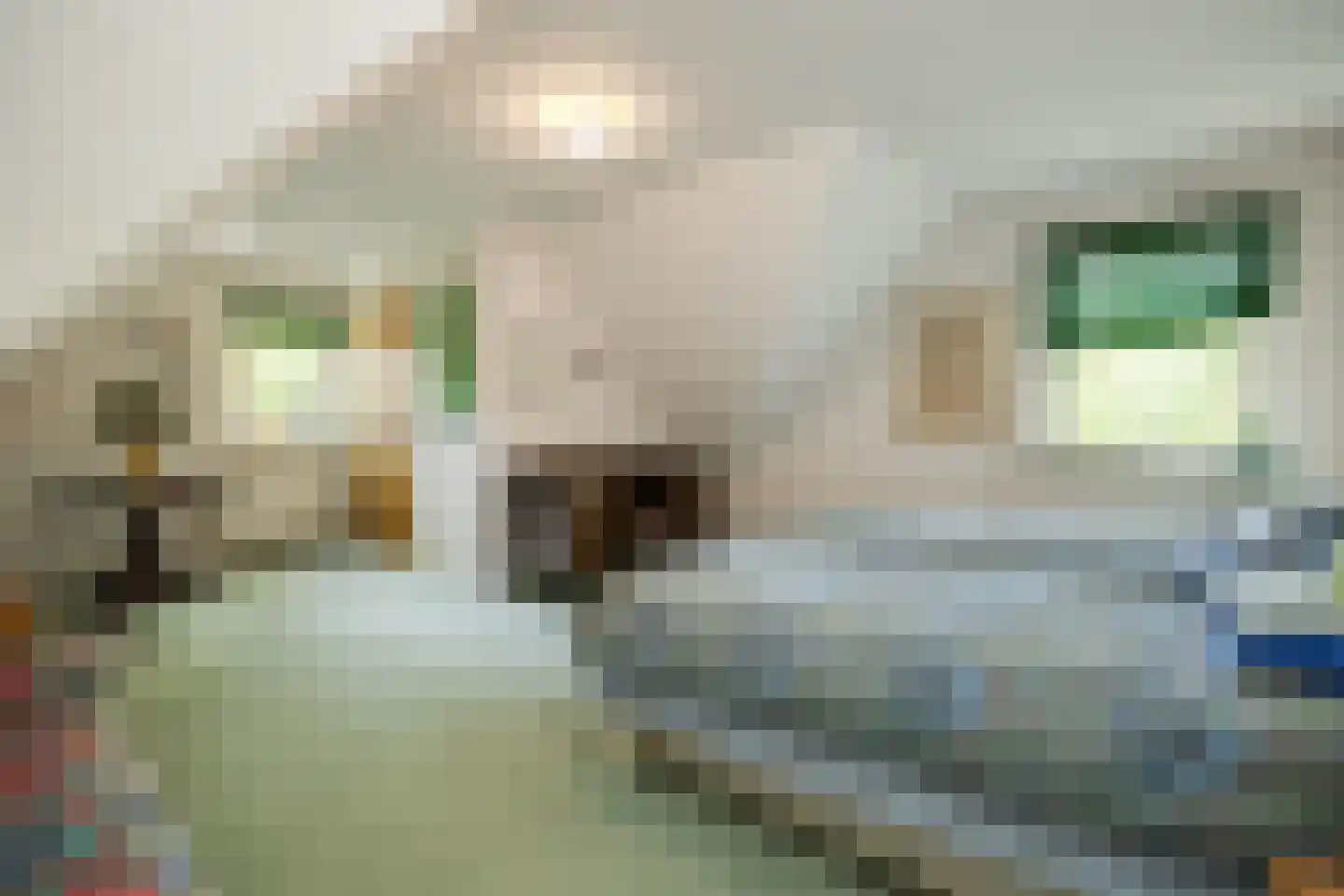 Vogelkerslaan 1 Vught thumbnail 26