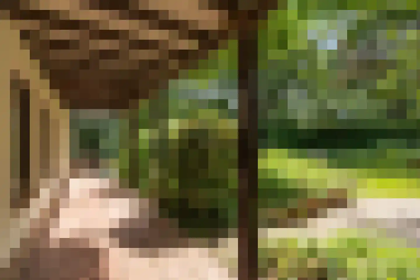 Vogelkerslaan 1 Vught thumbnail 27