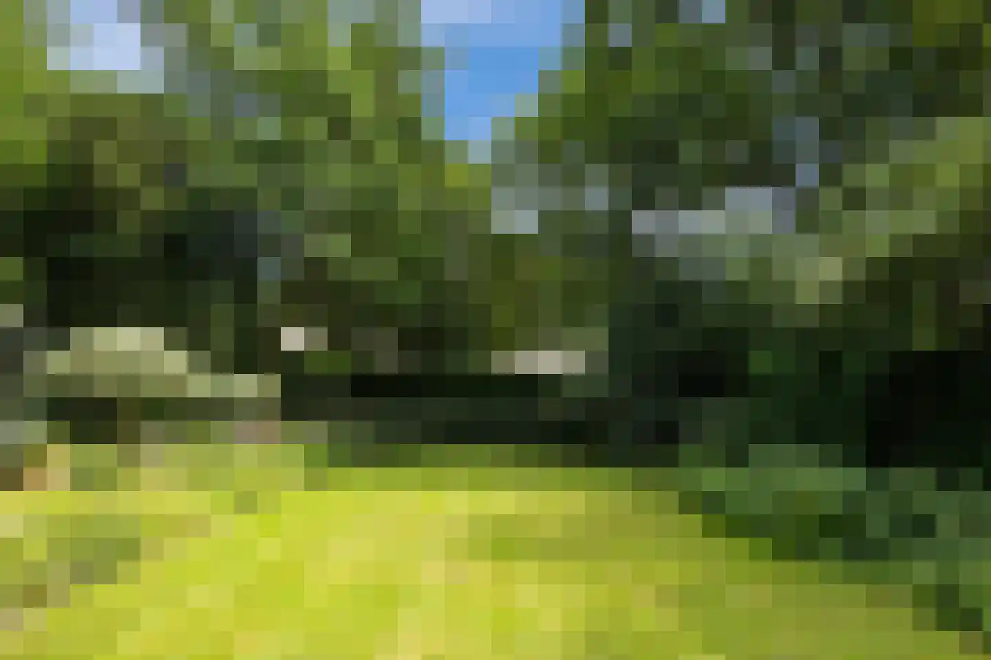 Vogelkerslaan 1 Vught foto 3