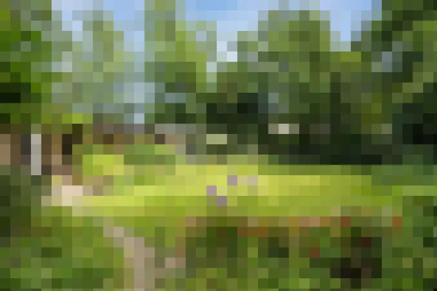 Vogelkerslaan 1 Vught thumbnail 33