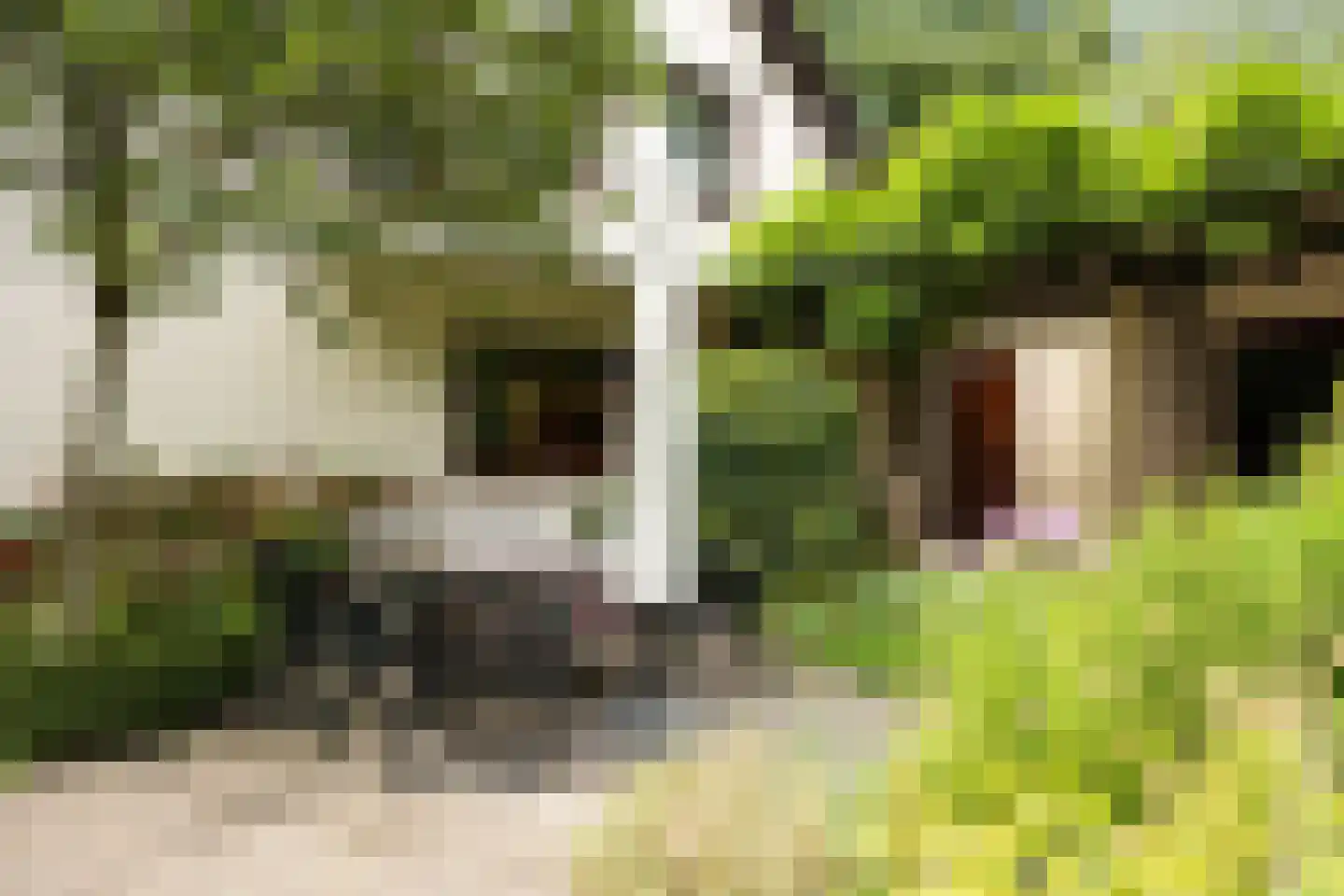 Vogelkerslaan 1 Vught thumbnail 34