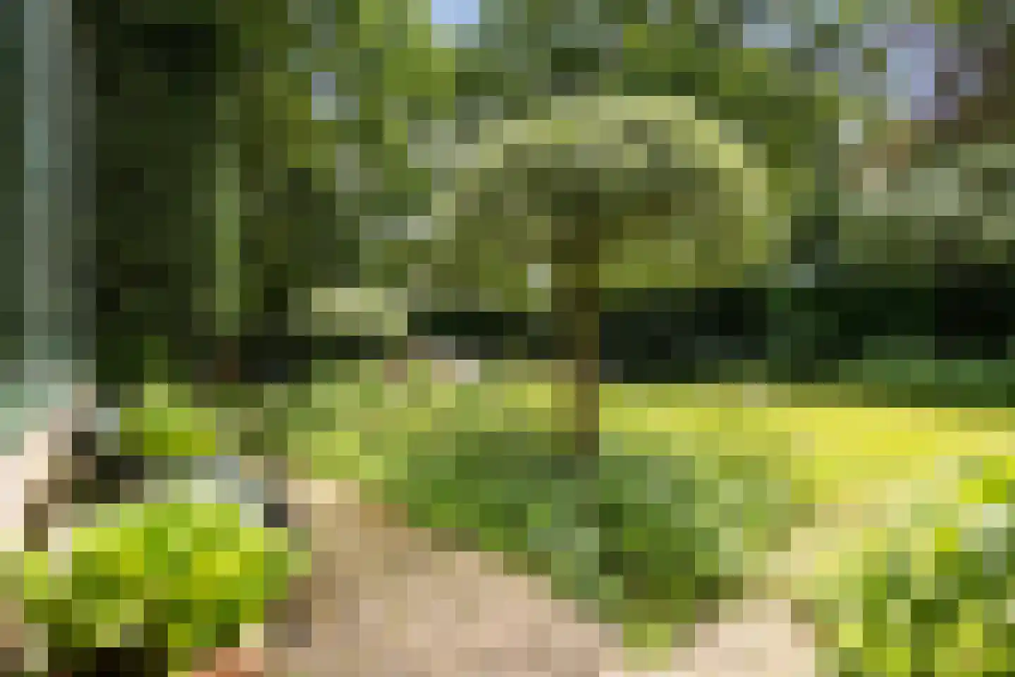 Vogelkerslaan 1 Vught thumbnail 35