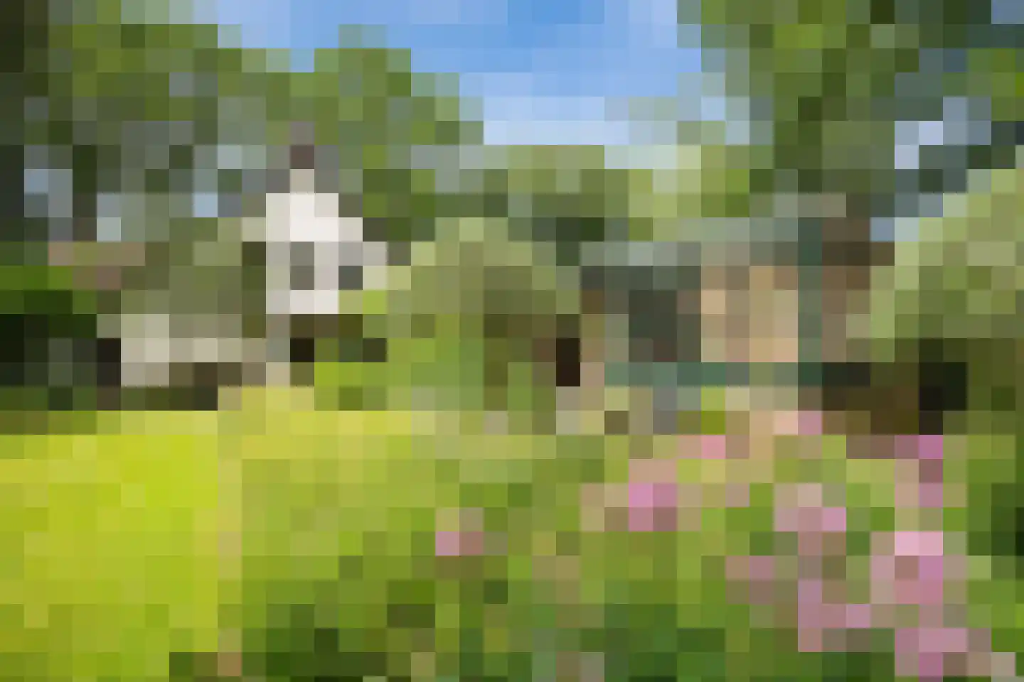 Vogelkerslaan 1 Vught thumbnail 36