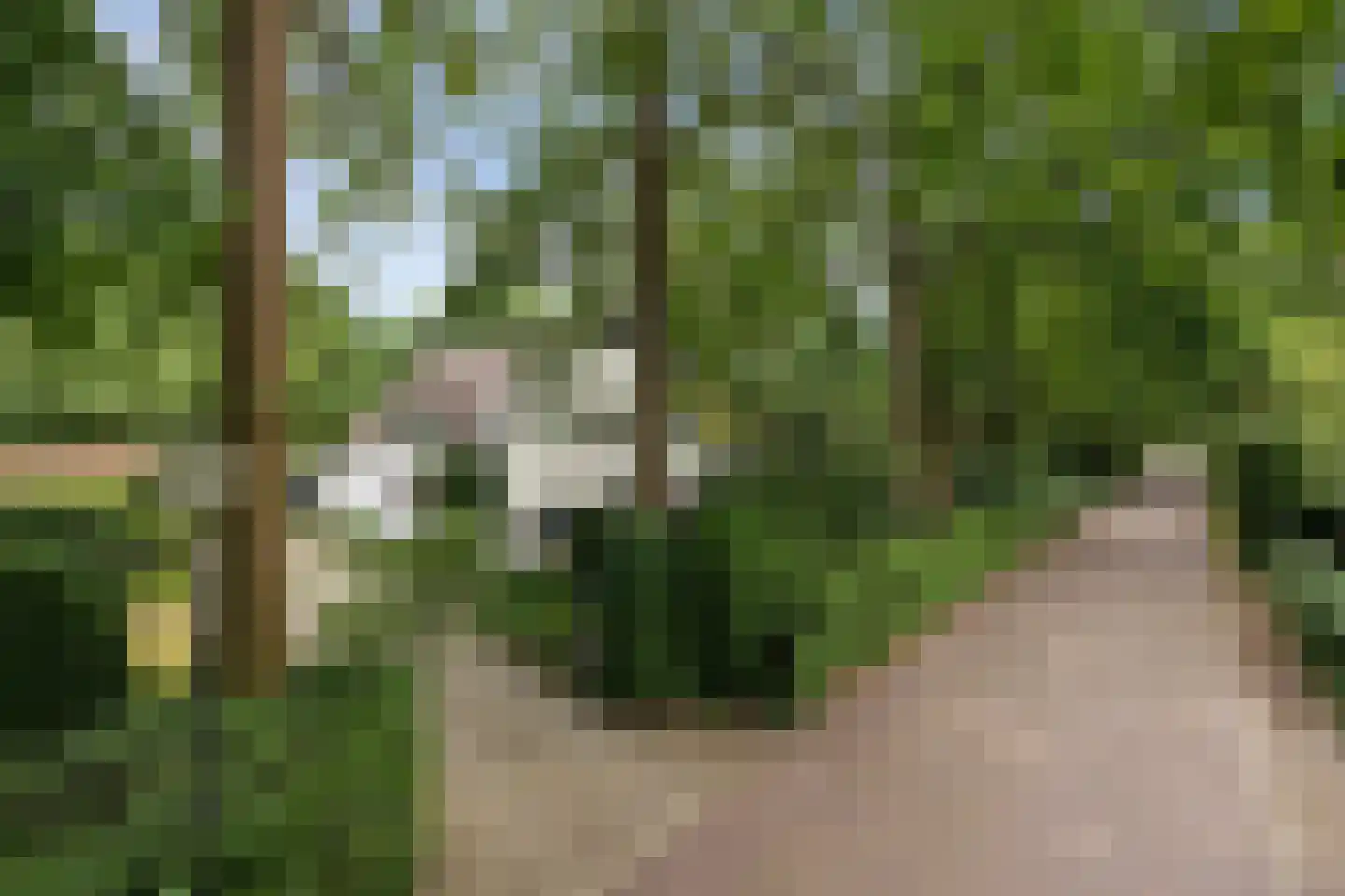 Vogelkerslaan 1 Vught thumbnail 38