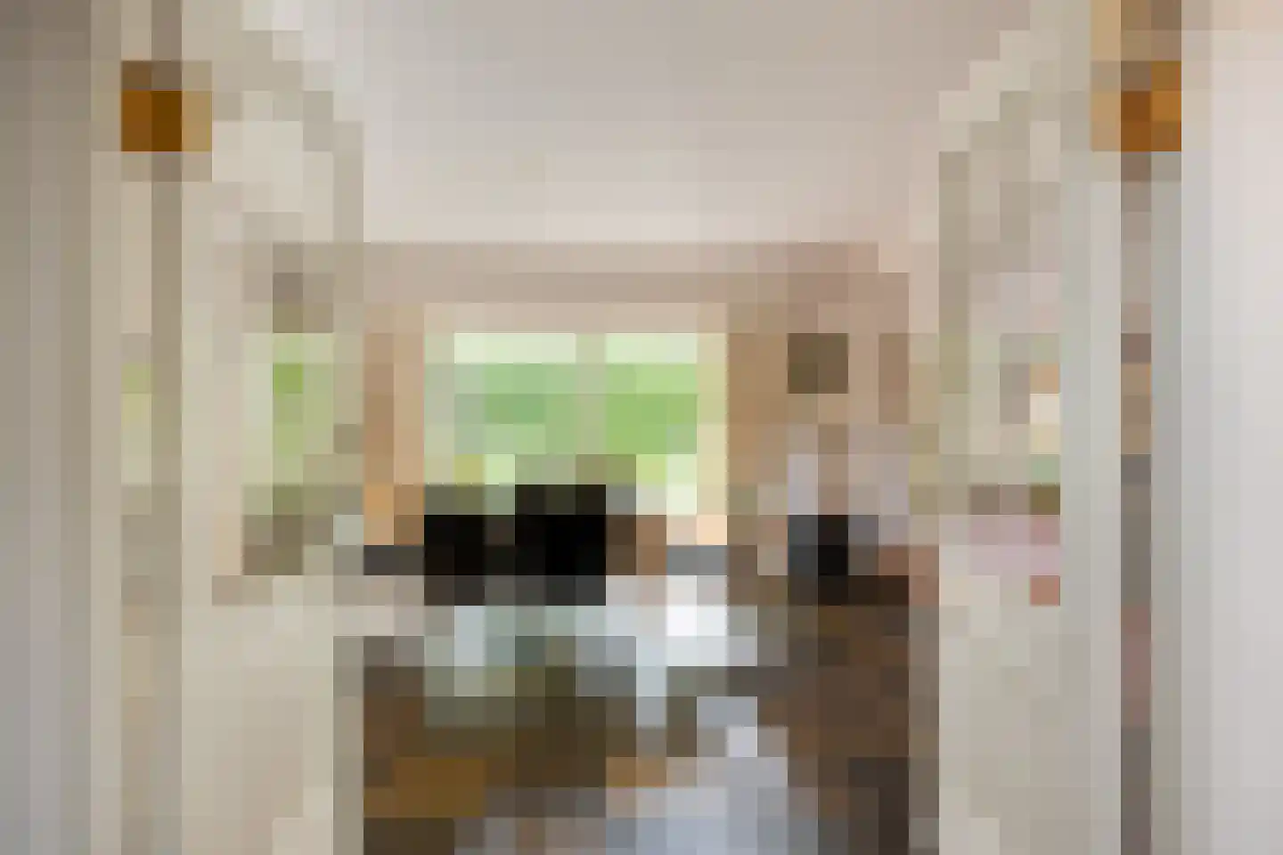 Vogelkerslaan 1 Vught thumbnail 5
