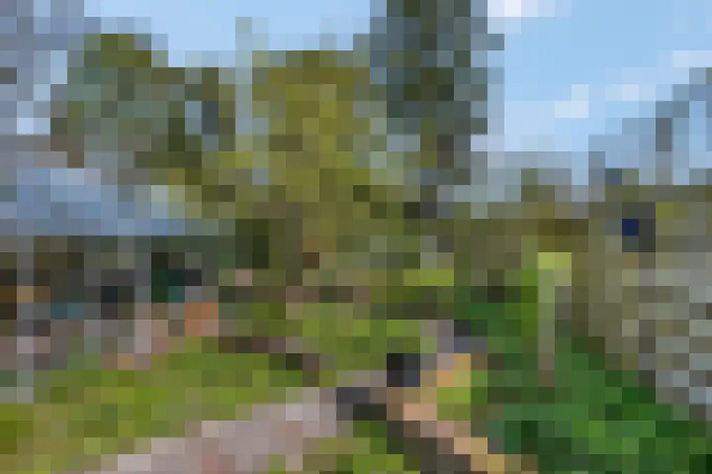 Vogelkerslaan 14 Leersum thumbnail 43