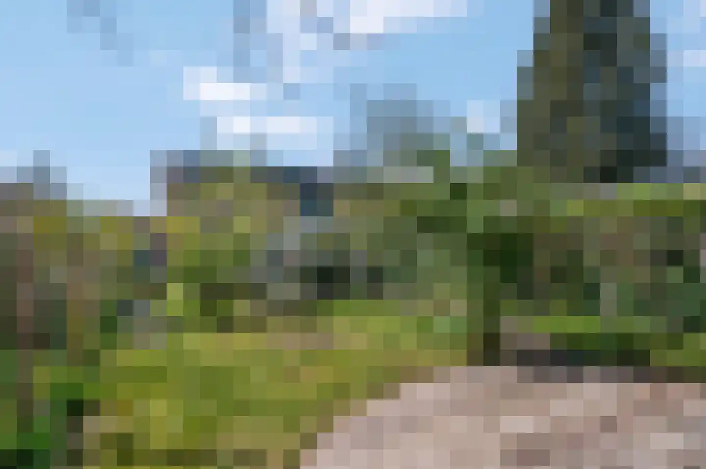 Vogelkerslaan 14 Leersum thumbnail 45