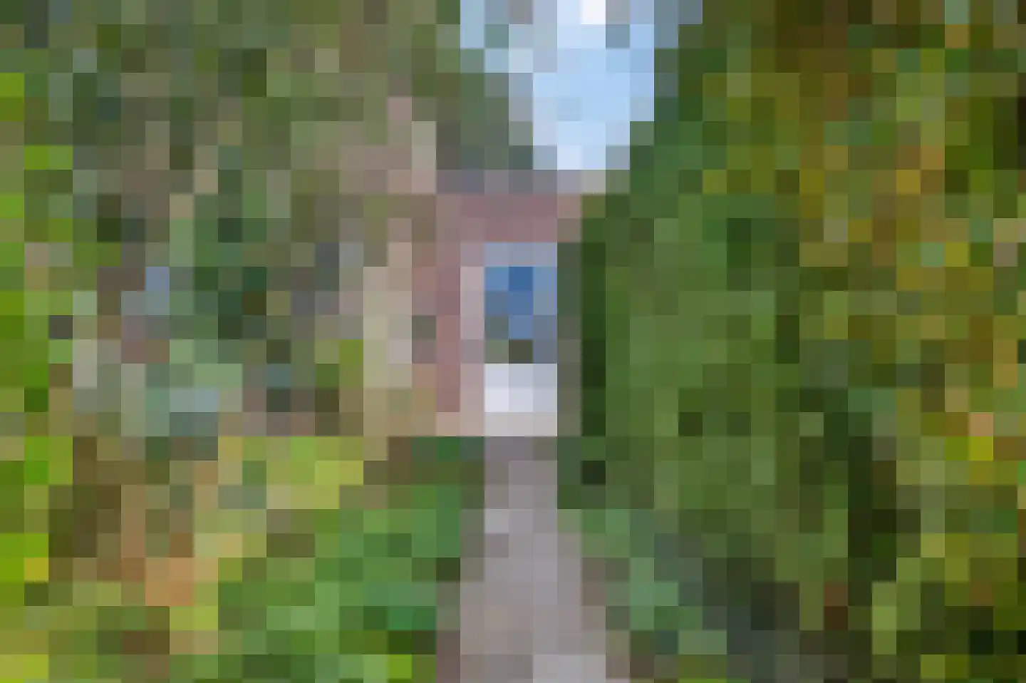 Vogelkerslaan 14 Leersum thumbnail 47