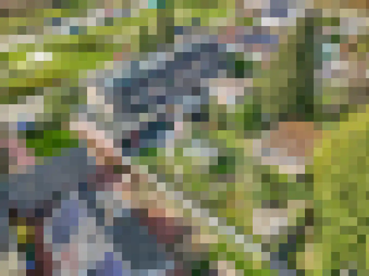 Vogelkerslaan 14 Leersum thumbnail 57