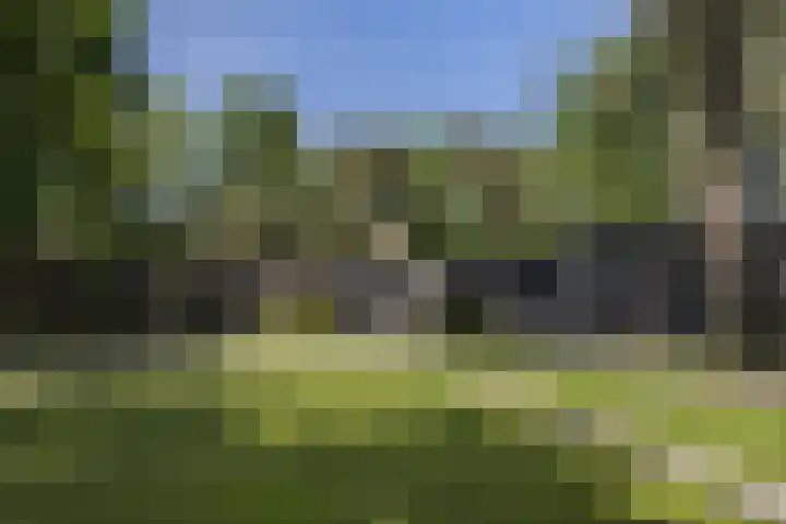 Vogelkerslaan 7 Vught