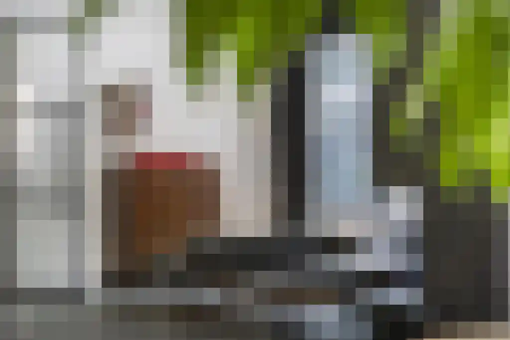 Vogelkerslaan 7 Vught thumbnail 13