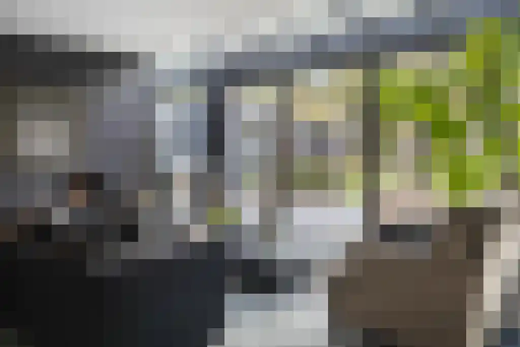Vogelkerslaan 7 Vught thumbnail 15