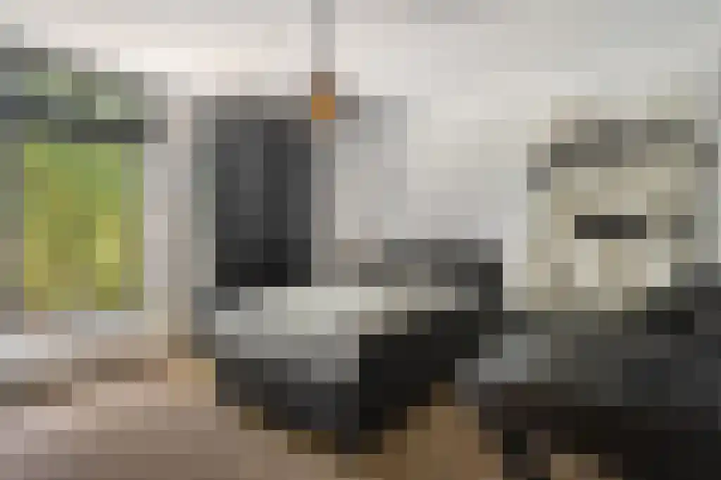 Vogelkerslaan 7 Vught thumbnail 26