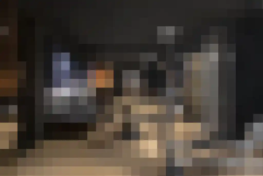 Vogelkerslaan 7 Vught thumbnail 34