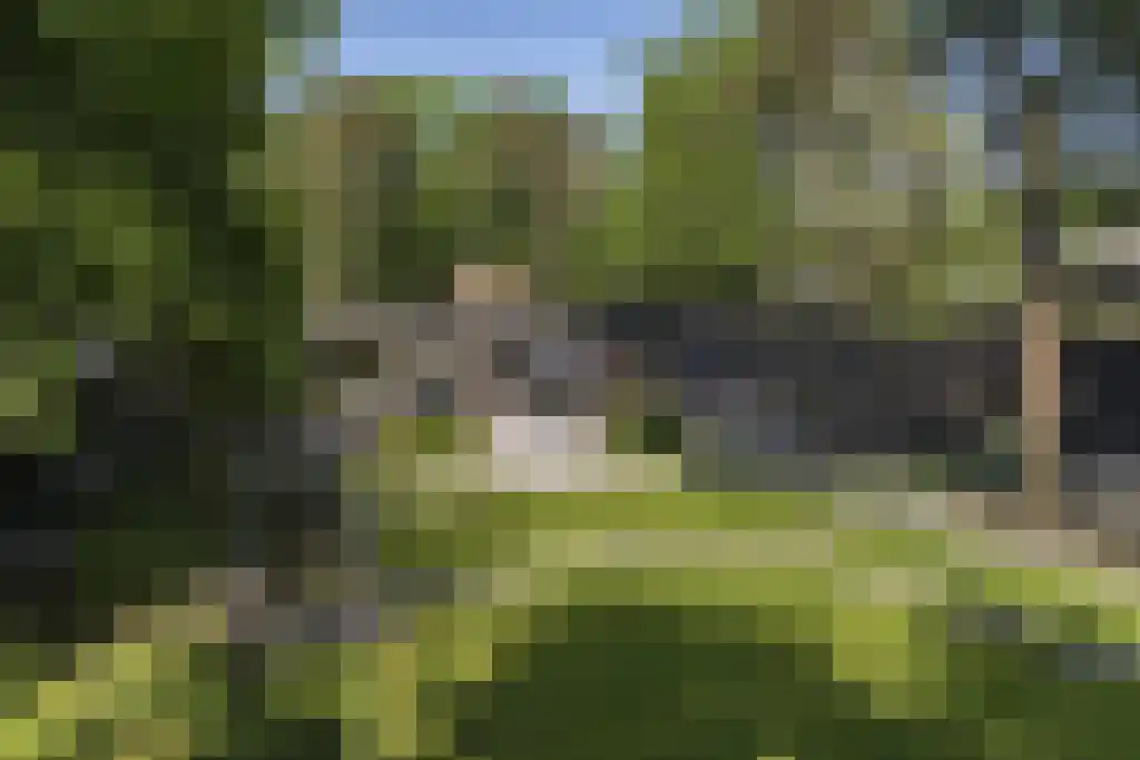 Vogelkerslaan 7 Vught thumbnail 41