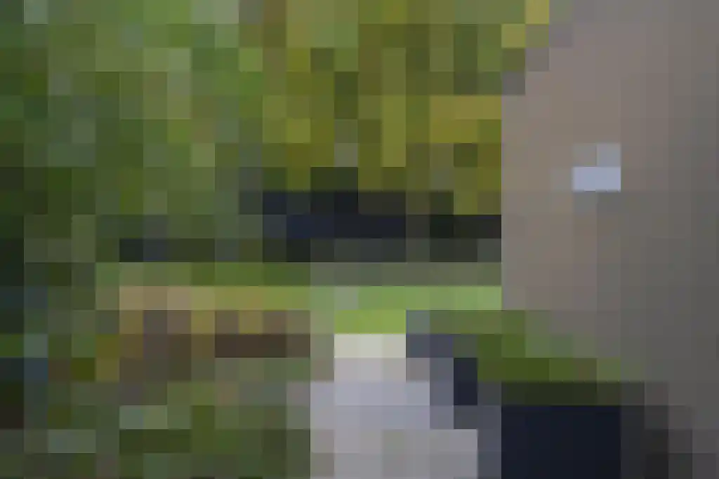 Vogelkerslaan 7 Vught thumbnail 47