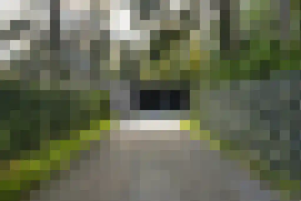 Vogelkerslaan 7 Vught thumbnail 7