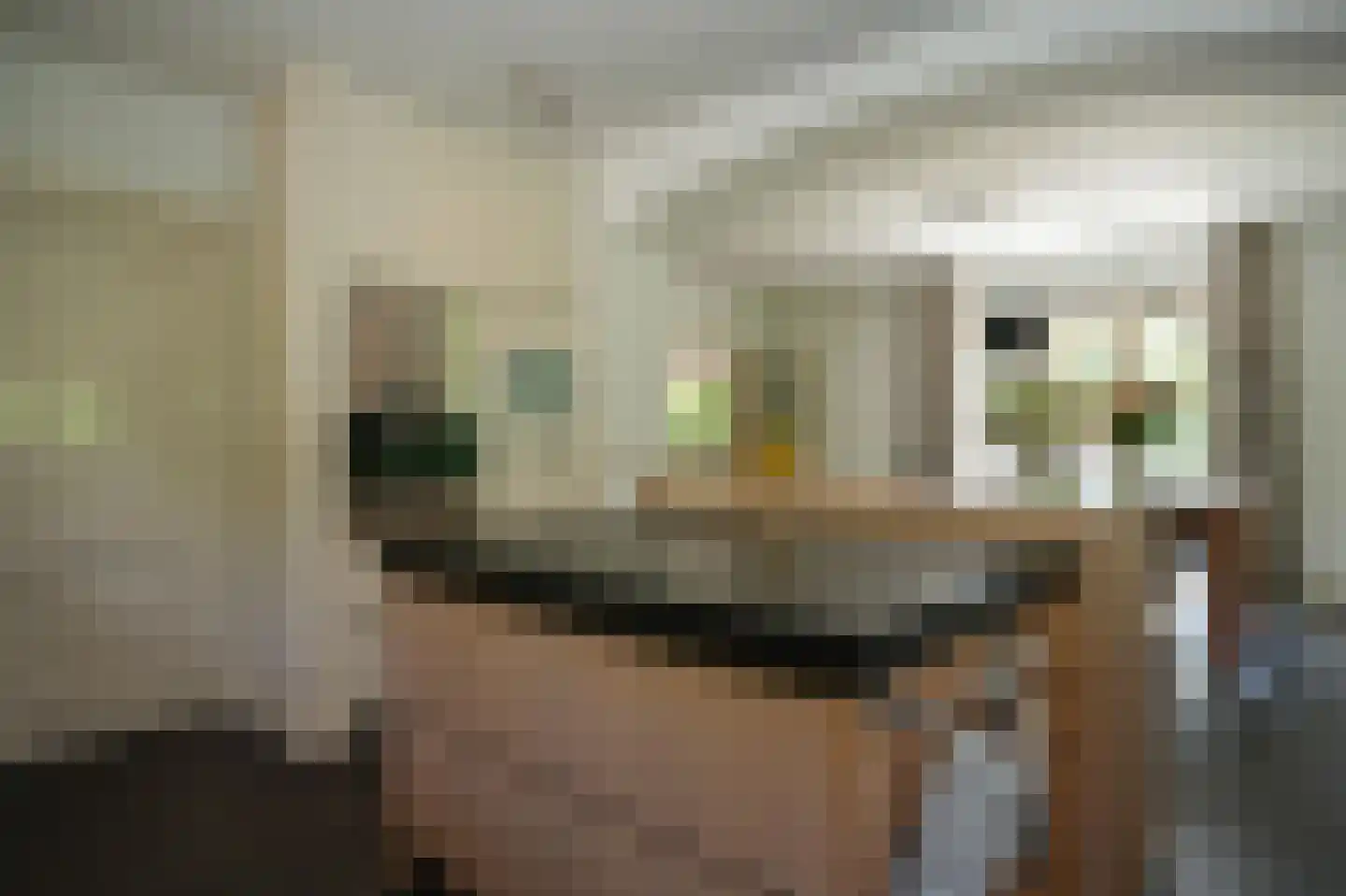 Vogelkerslaan 8 Vught thumbnail 17