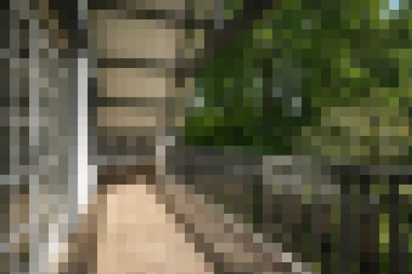 Vogelkerslaan 8 Vught thumbnail 25
