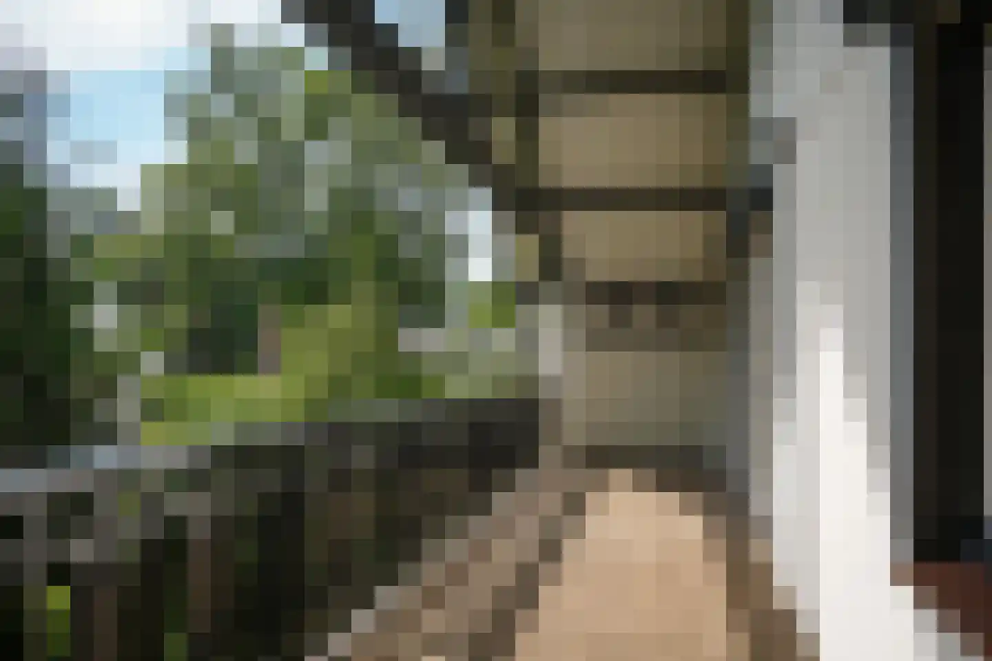 Vogelkerslaan 8 Vught thumbnail 26