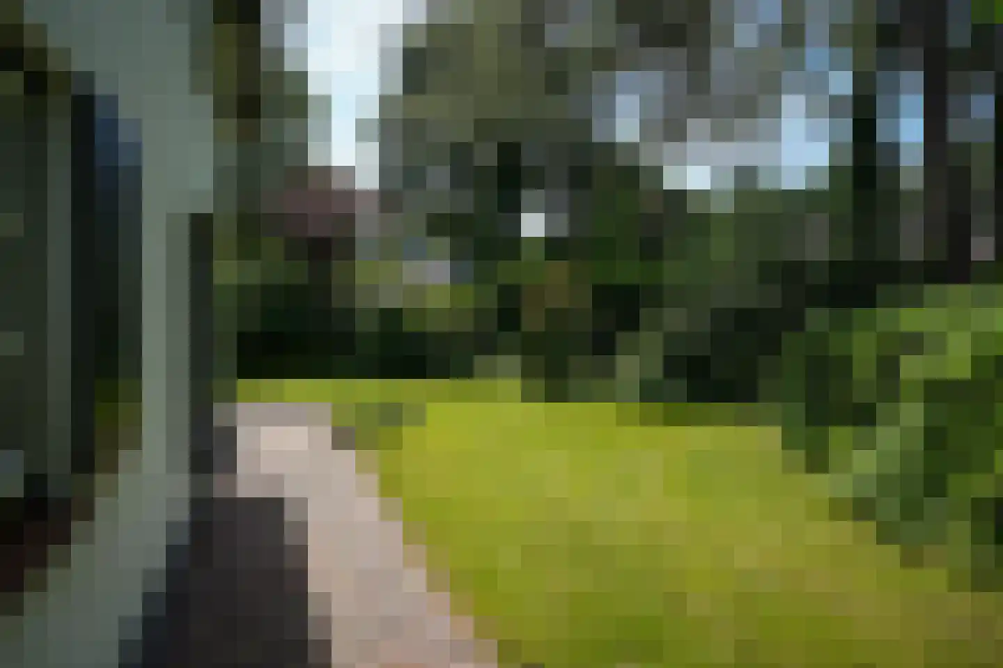 Vogelkerslaan 8 Vught thumbnail 46