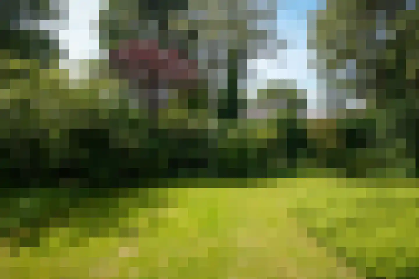 Vogelkerslaan 8 Vught thumbnail 48
